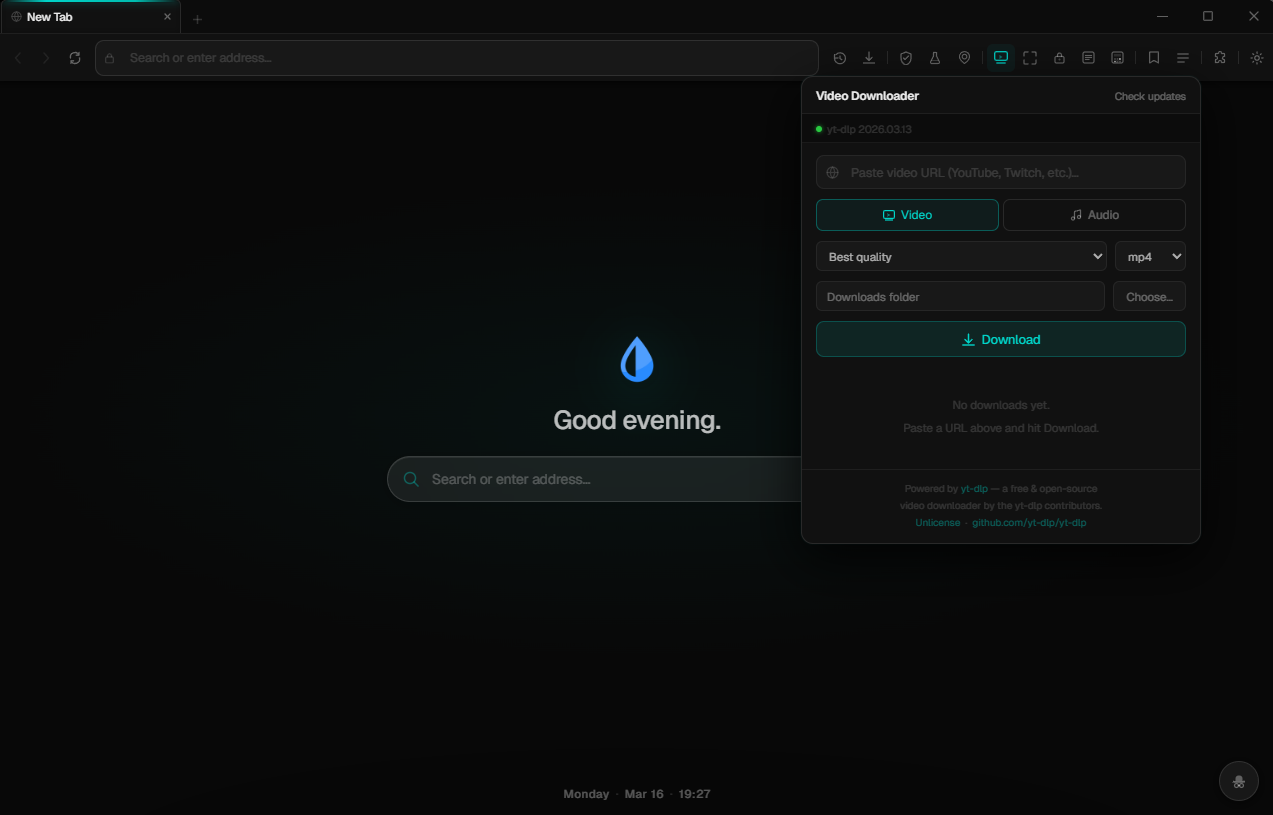Video Downloader Interface
